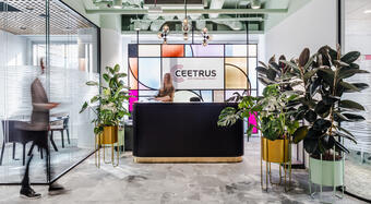 The new Ceetrus office: a work space in a mid-century modern style