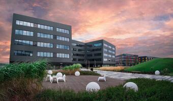 Webcon bets on modern business and chooses Dot Park!