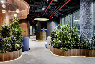 New Colliers Office in Warsaw: The Workplace of the Future in the Spirit of Newffice