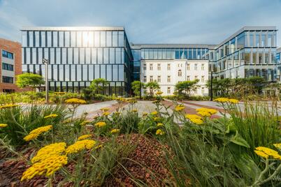 AFI closes 2025 with record results in Poland. Offices, PRS and mixed-use projects drive further expansion