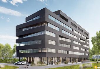 Carbon Office